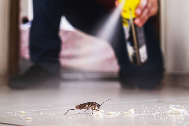 Trusted Shelbyville, KY Pest Control Experts